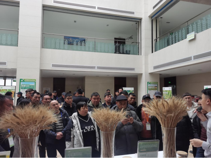 1741412024274789.png 学员在新疆金天山种业有限公司观摩学习2.png