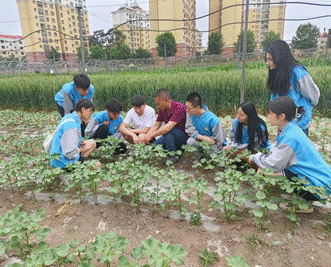 说明: 807ae52a61df50c9477dd4c763228ec