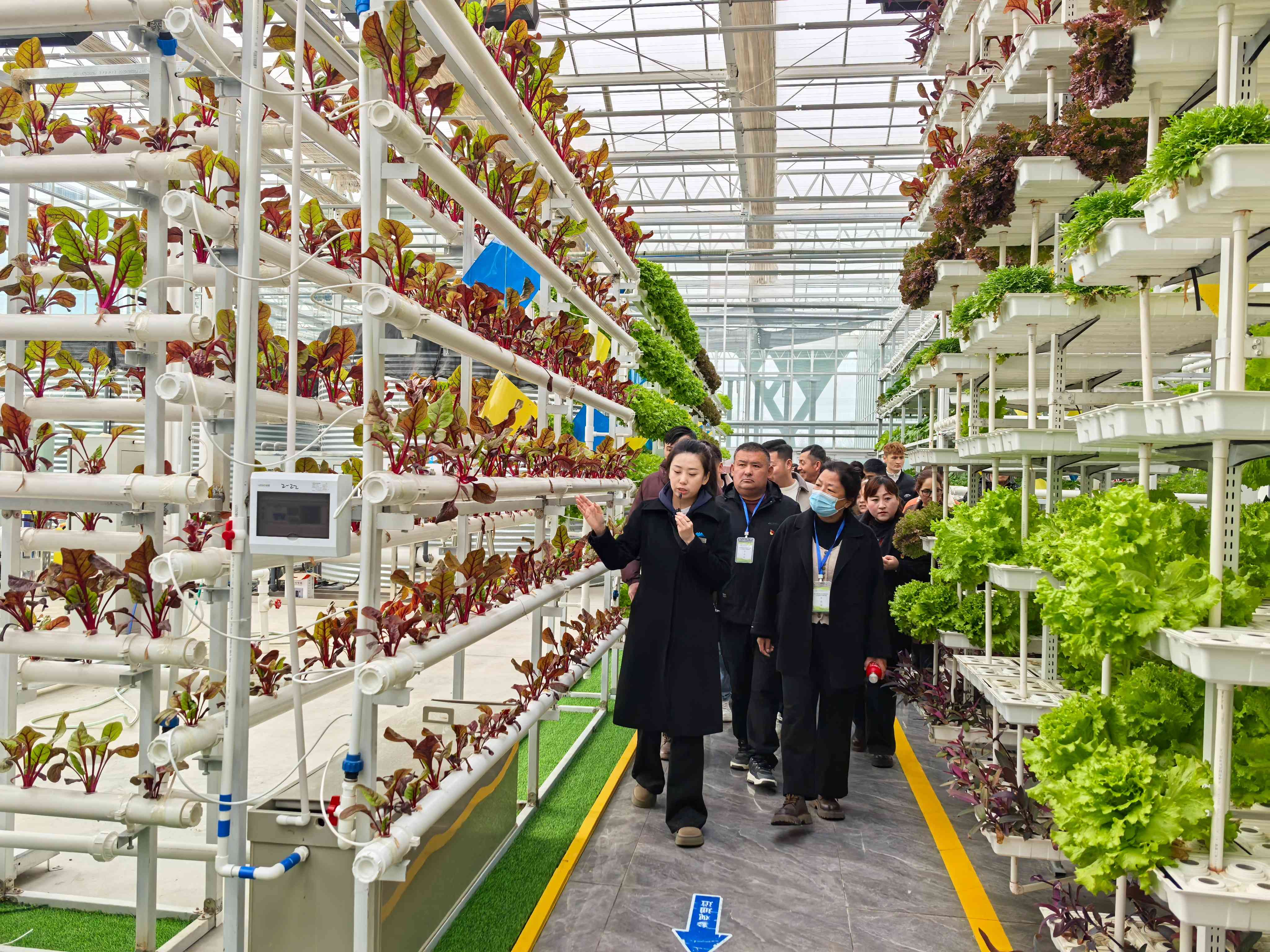 1741412014168653.jpg 昌吉国家农业博览园(1).jpg